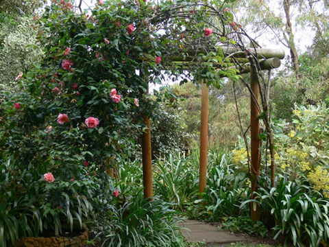 Timandra By The Sea - ACT Tourism 9