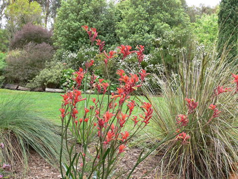 Timandra By The Sea - ACT Tourism 11