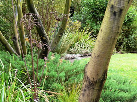 Timandra By The Sea - ACT Tourism 12