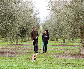 Wollundry Grove Olives - ACT Tourism 3