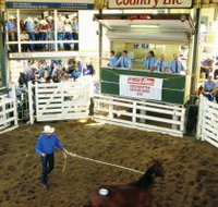 Gracemere Exhibition Complex - ACT Tourism