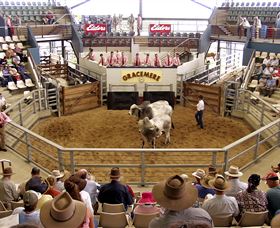 Gracemere Exhibition Complex - ACT Tourism 1