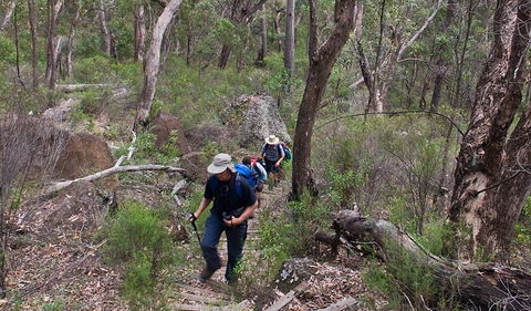 Yulludunida Walking Track - ACT Tourism 3