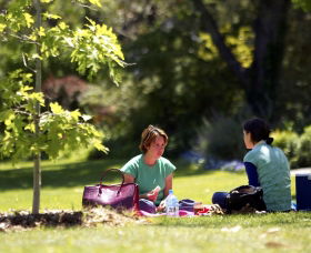 Botanic Gardens Wagga Wagga - ACT Tourism 0