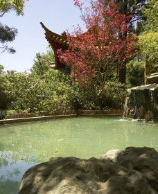 Botanic Gardens Wagga Wagga - ACT Tourism 2