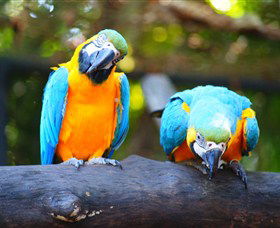 The Rockhampton Zoo - ACT Tourism 2