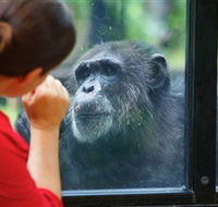 The Rockhampton Zoo - ACT Tourism
