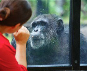 The Rockhampton Zoo - ACT Tourism 0