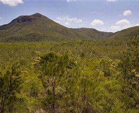 Kutini-Payamu (Iron Range) National Park (CYPAL) - ACT Tourism 0