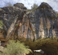 Borenore Karst Conservation Reserve - ACT Tourism