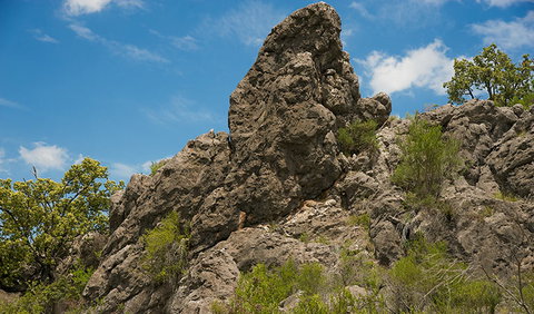 Verandah Cave - ACT Tourism 2