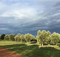 Camilo - ACT Tourism