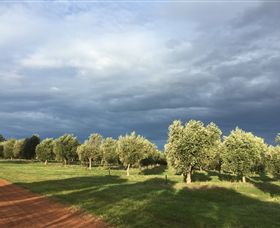 Camilo - ACT Tourism 0