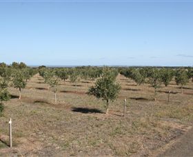 Camilo - ACT Tourism 2