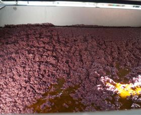 Camilo - ACT Tourism 3