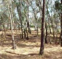 Chiltern-Mt Pilot National Park - ACT Tourism