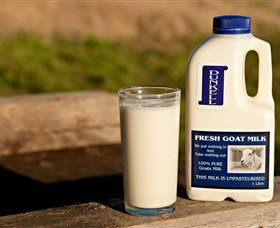 Dunkell Goats - ACT Tourism 2