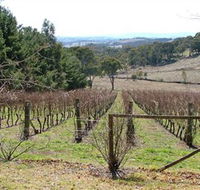 Habitat Vineyard - ACT Tourism