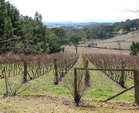 Habitat Vineyard - ACT Tourism 0