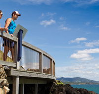 Mount Canobolas State Conservation Area - ACT Tourism