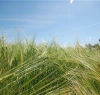 150 Degrees East Meridian - ACT Tourism