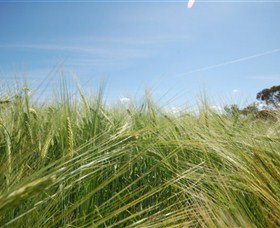 150 Degrees East Meridian - ACT Tourism 0