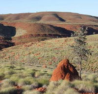 Camel Trail Millstream-Chichester National Park - ACT Tourism