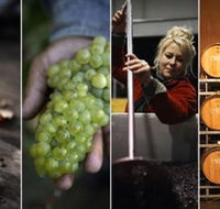Ross Hill Wines - ACT Tourism