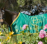 Living Legends The International Home of Rest for Champion Horses - ACT Tourism