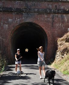 Cheviot Tunnel - ACT Tourism 0