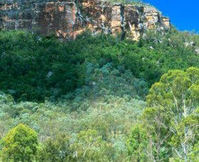 Cania Gorge National Park - ACT Tourism 1