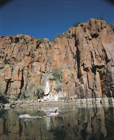 Python Pool - ACT Tourism 3