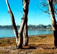 Lake Broadwater Conservation Park - ACT Tourism