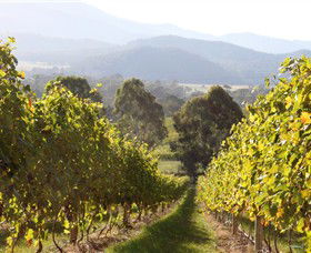 Pizzini Wines King Valley - ACT Tourism 3