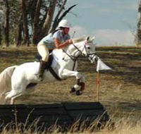 National Equestrian Centre - Kerrabee - ACT Tourism
