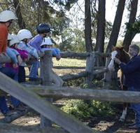 Harlow Park Horse Riding - ACT Tourism