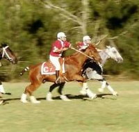 Morgan Park Warwick - ACT Tourism