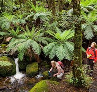 Baw Baw National Park - ACT Tourism