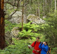 Centennial Glen - ACT Tourism