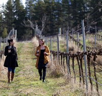 Mount Majura Vineyard - ACT Tourism