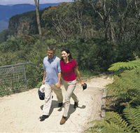 Blue Mountains Walking Tracks - ACT Tourism