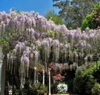 Nooroo Gardens - ACT Tourism
