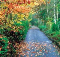 Mount Wilson and Mount Irvine - ACT Tourism