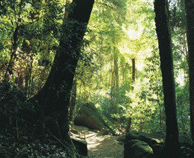 Blue Mountains National Park - ACT Tourism 5