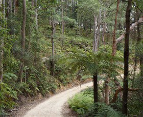 Blue Mountains National Park - ACT Tourism 8