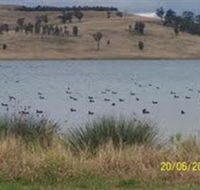 Lake Liddell Recreation Area - ACT Tourism