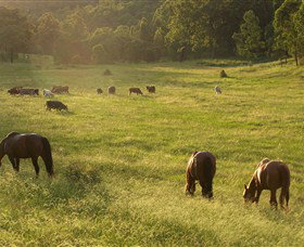 Chapman Valley Horse Riding - ACT Tourism 4