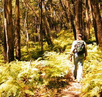 Federal Pass - ACT Tourism