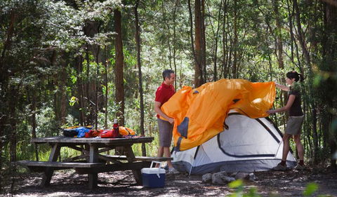 Bald Rock National Park - ACT Tourism 1
