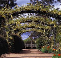 Blue Mountains Botanic Garden - ACT Tourism